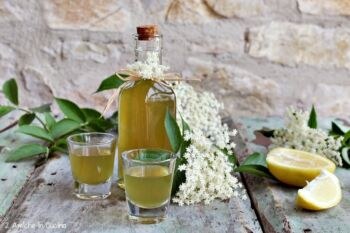 Sirup na angínu z bazy